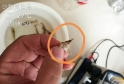 �װ߲������ھ����؁���������r�Bֳ�΄ݲ��ݘ��^