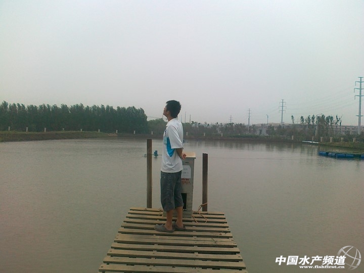 �峿�������
