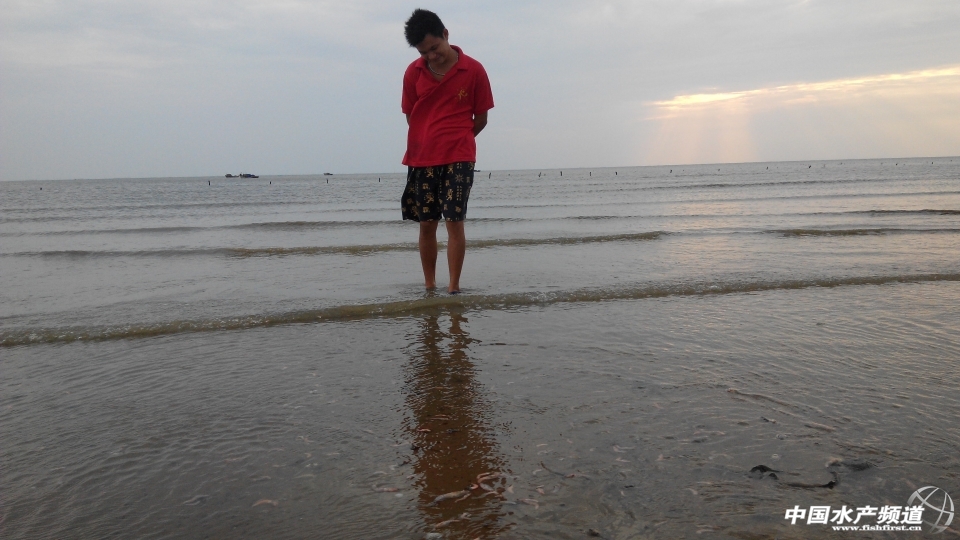 IMG_20130929_174540.jpg