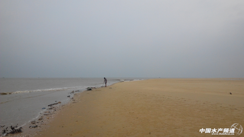 IMG_20131001_100532.jpg
