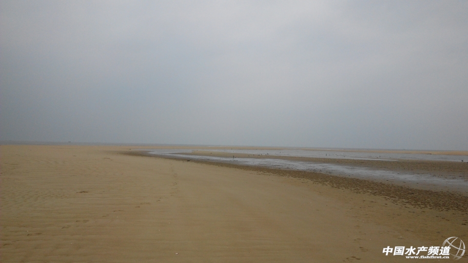 IMG_20131001_101505.jpg