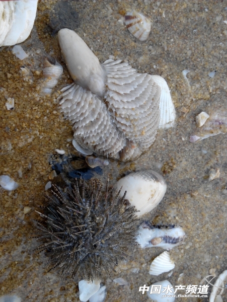 IMG_20131013_170447.jpg