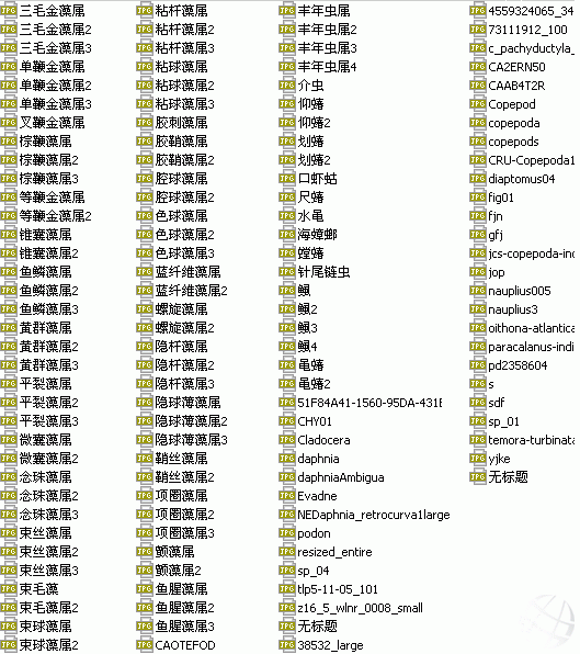 03.gif