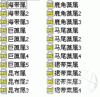 01.gif
