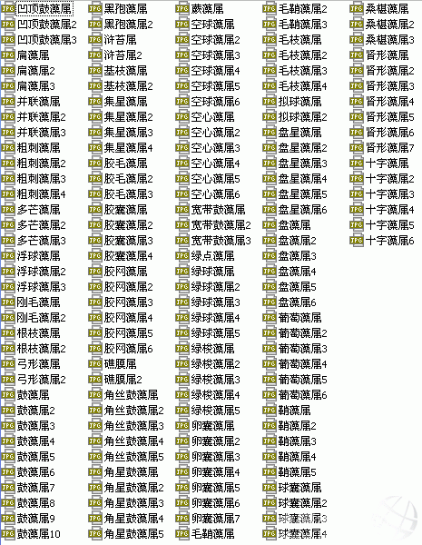 01.gif
