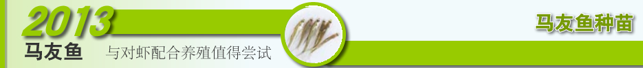 2013ˮ�a�N�紺��ُ�Nָ��
