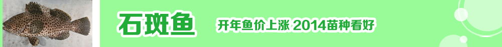 2014ˮ�a(ch��n)�N�紺��ُ�Nָ��
