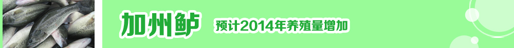 2014ˮ�a(ch��n)�N�紺��ُ�Nָ��