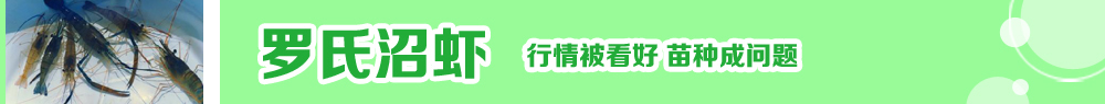 2014ˮ�a(ch��n)�N�紺��ُ�Nָ��
